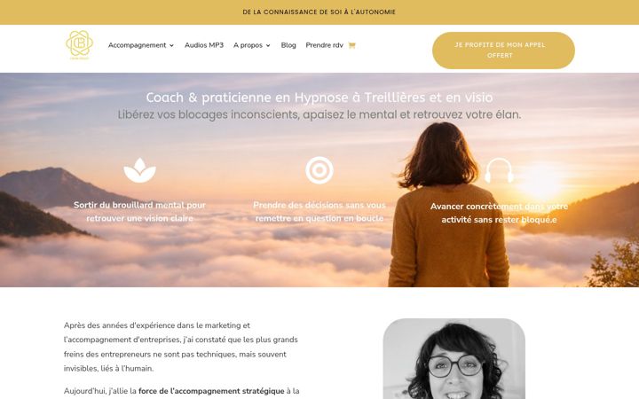 Skjámynd af cecilebrillet.fr