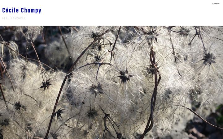 Screenshot of cecilechampy.com