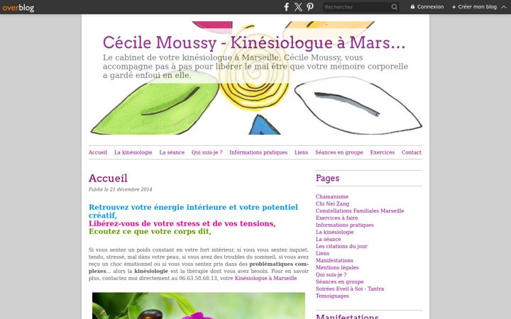 Screenshot of cecilemoussykinesio.fr