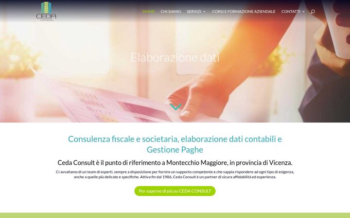 Screenshot of cedaconsult.com
