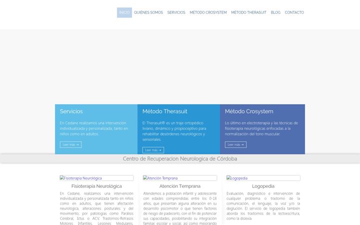 Screenshot of cedane.es
