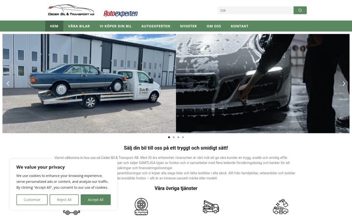 Screenshot of cederbil.com