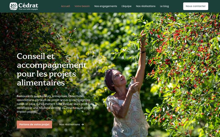 Screenshot of cedrat-conseil.com