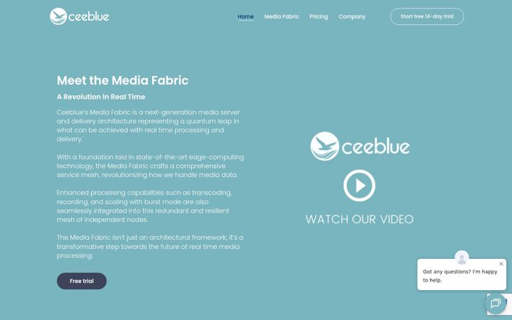 Ekrano kopija ceeblue.net