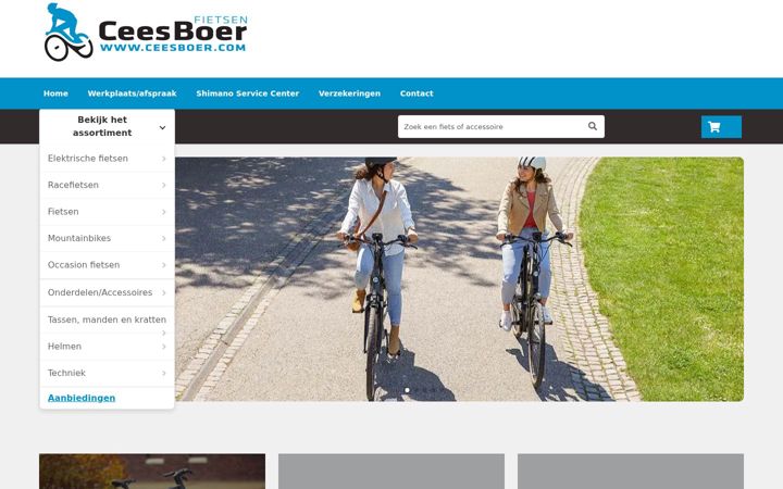 Screenshot of ceesboer.com