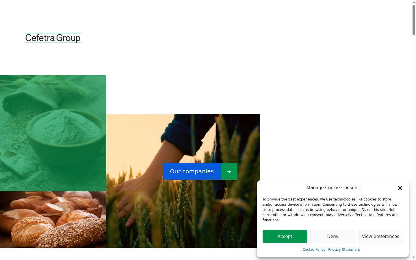 Screenshot of the consent banner shown before any interaction