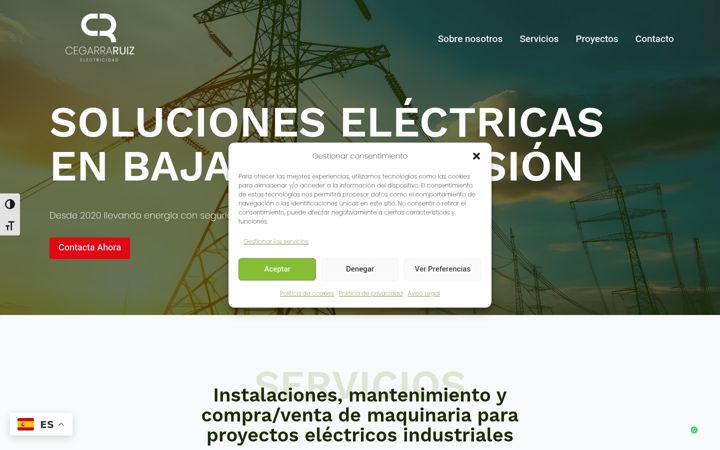 Screenshot of cegarraruizelectricidad.com