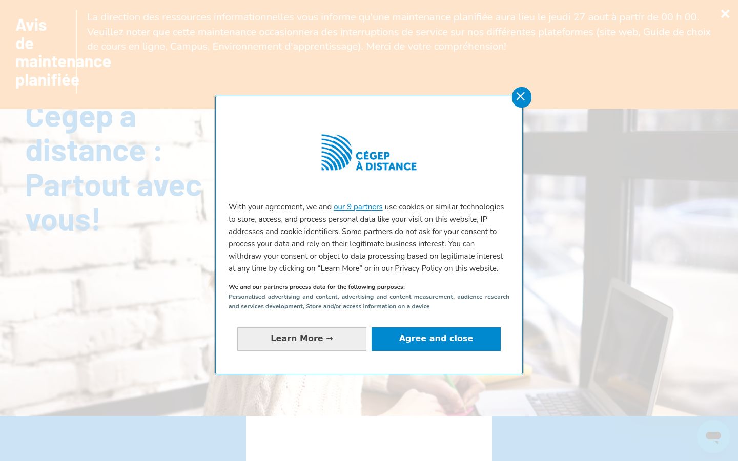 Screenshot of the consent banner shown before any interaction
