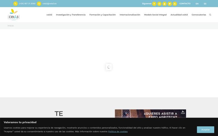 Snímek obrazovky ceia3.es