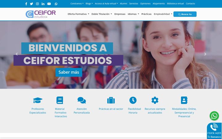 Screenshot of ceiforestudios.com