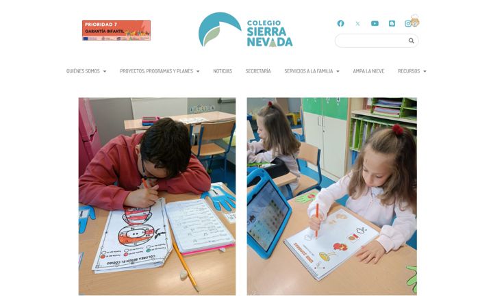 Screenshot of ceipsierranevada.org