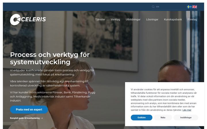 Screenshot of celerisconsulting.com