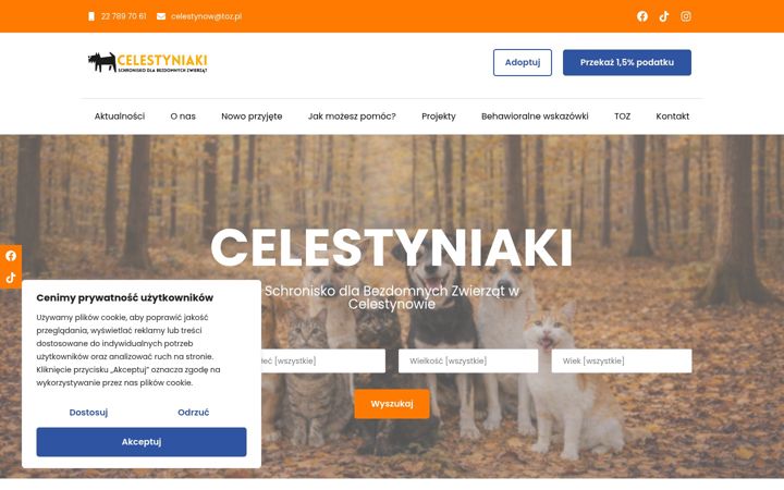 Zrzut ekranu celestyniaki.pl