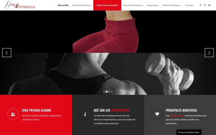 Screenshot of celiahipopresivos.com