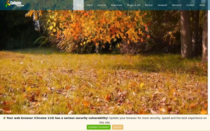 Screenshot of celignis.com