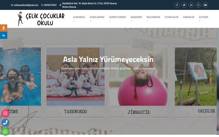Screenshot of celikcocuklar.com