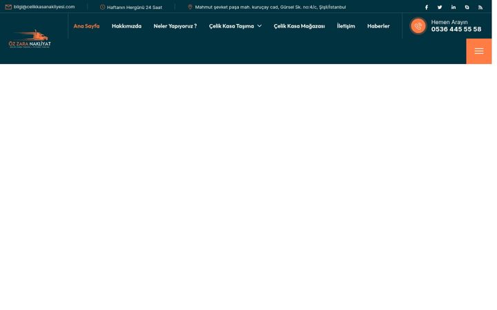 Screenshot of celikkasanakliyesi.com