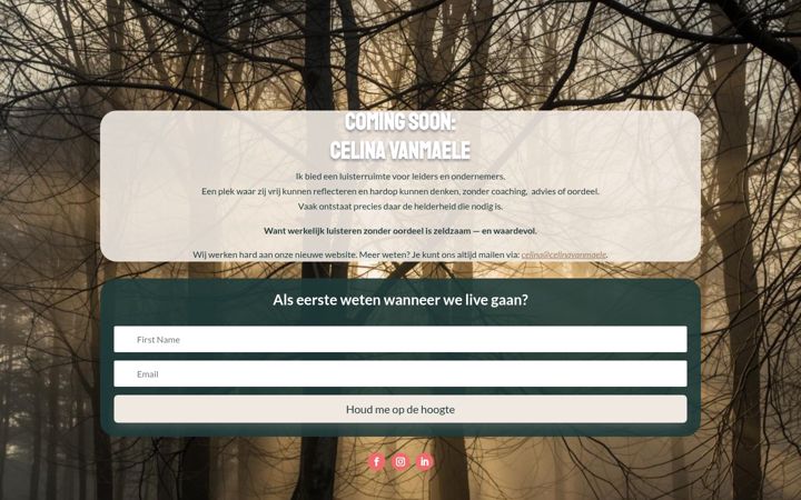 Screenshot of celinavanmaele.com