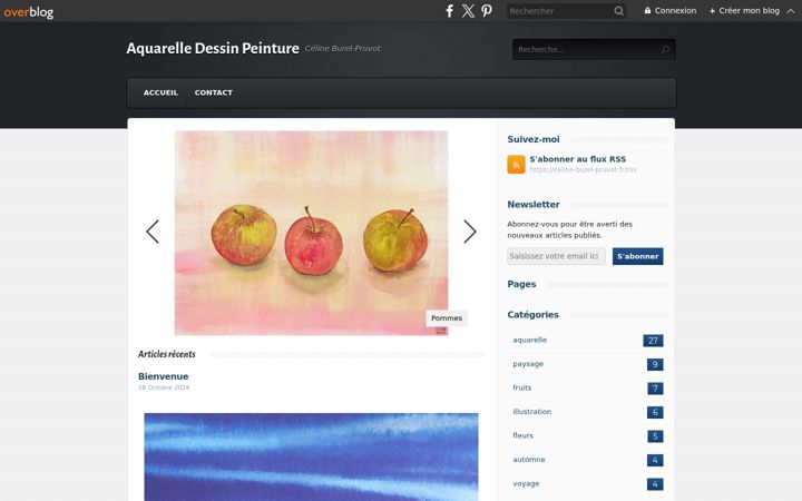 Screenshot of celine-burel-pruvot.fr