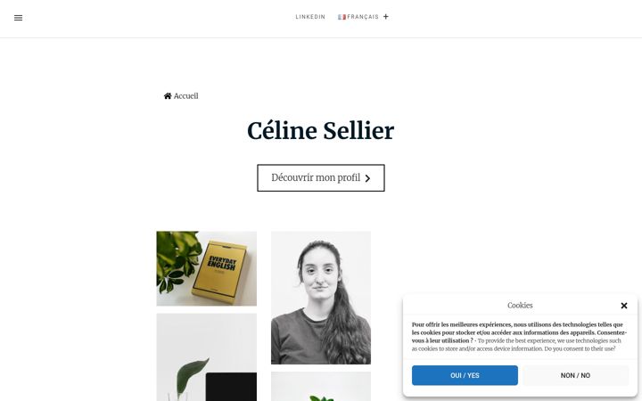 Screenshot of celine-sellier.fr