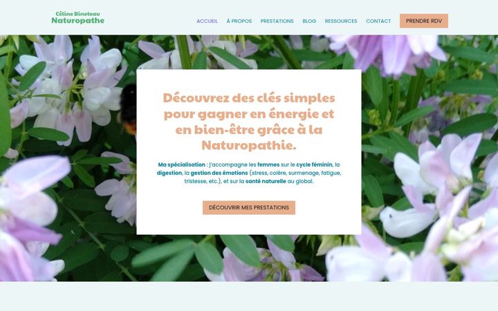 Screenshot of celinebineteau.fr