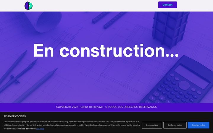 Screenshot of celinebordenave.com