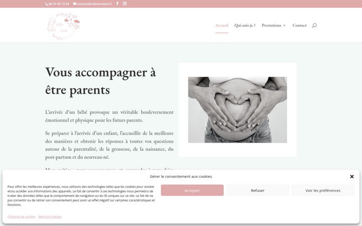 Screenshot ta' celinecostes.fr
