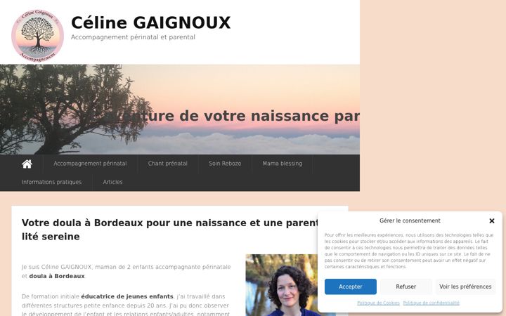 Skjámynd af celinegaignoux.fr