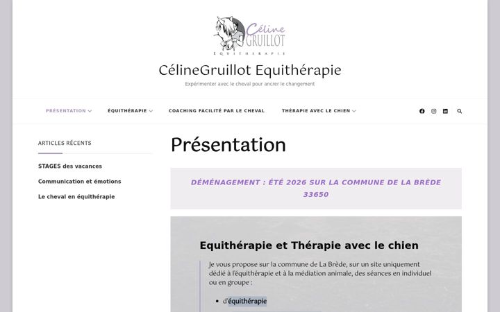 Screenshot of celinegruillot-equitherapie.fr