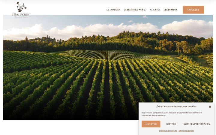 Screenshot of celinejaquet.com