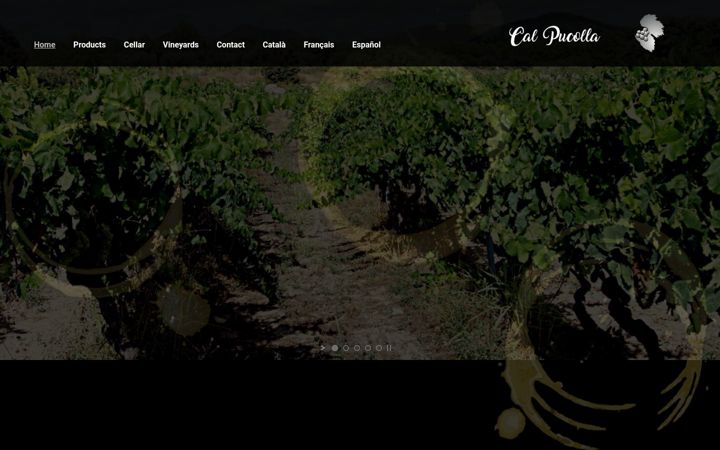 Screenshot of cellercalpucolla.com