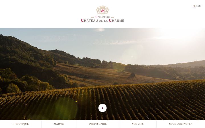 Screenshot of cellierduchateaudelachaume.fr