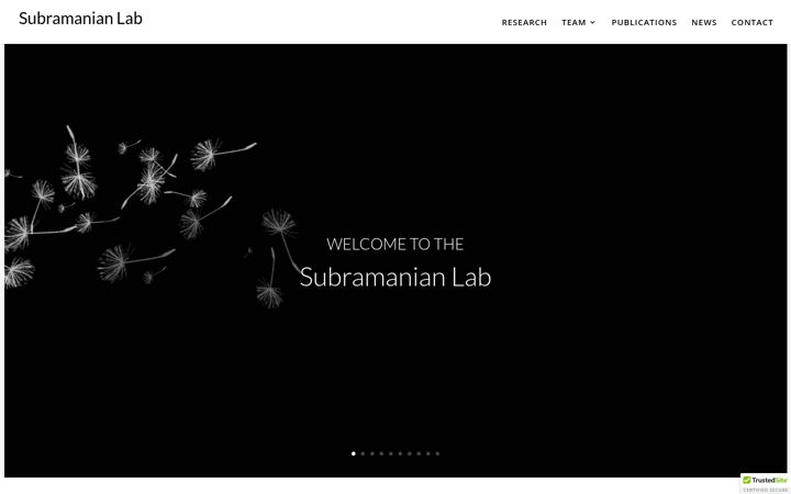 Screenshot of cellularlego.com