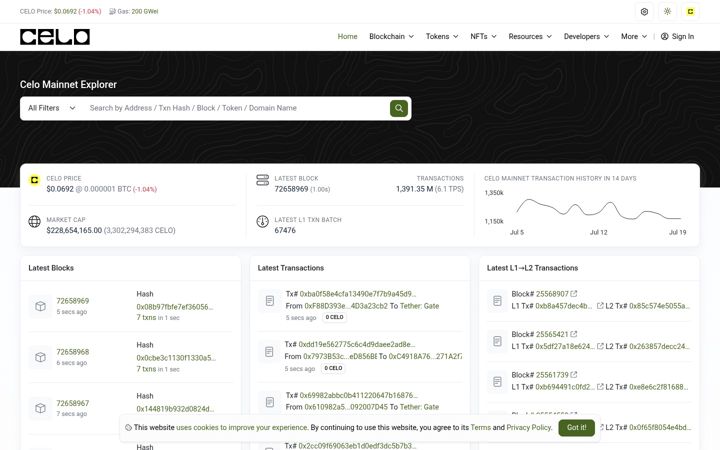 Screenshot of celoscan.io