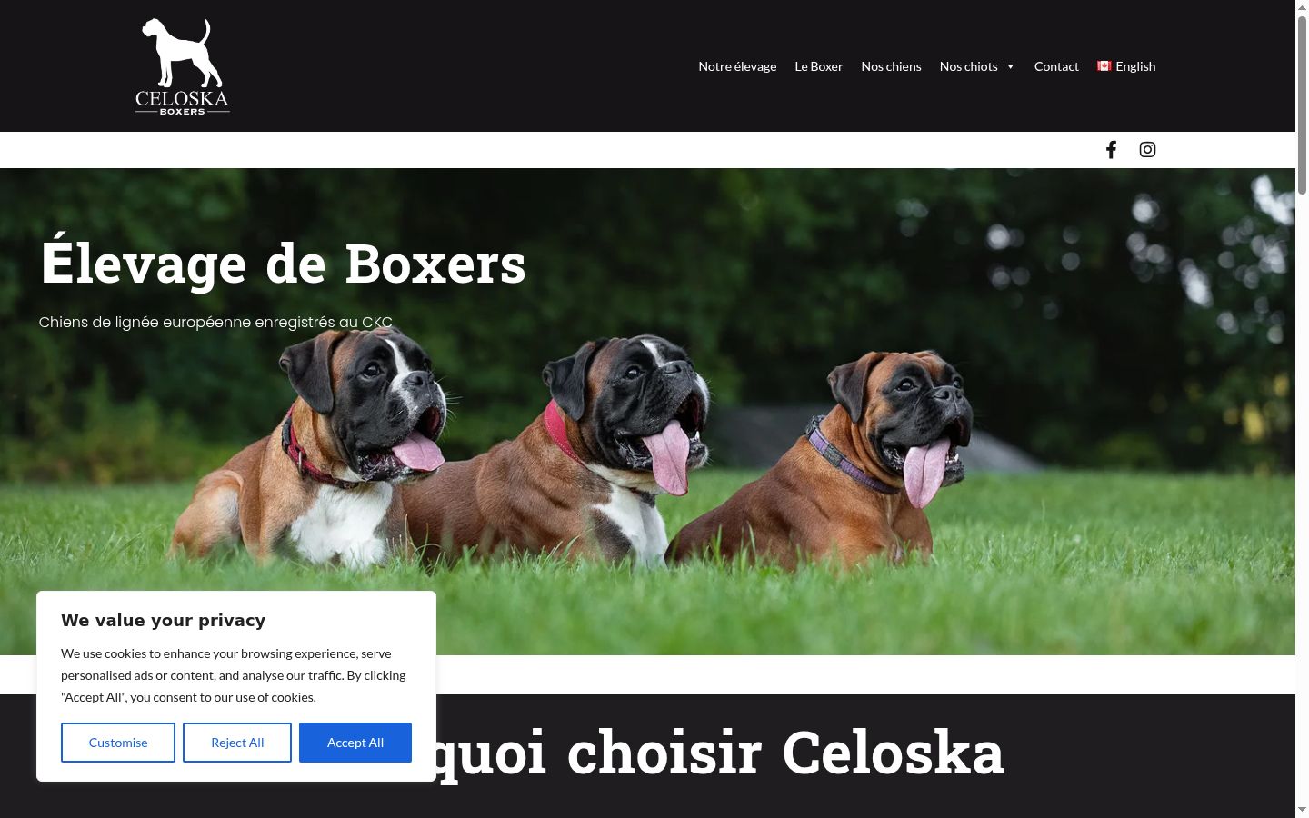 Screenshot tal-banner tal-kunsens muri qabel kwalunkwe interazzjoni