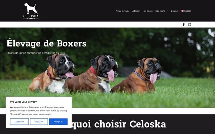 Screenshot of celoskaboxers.com