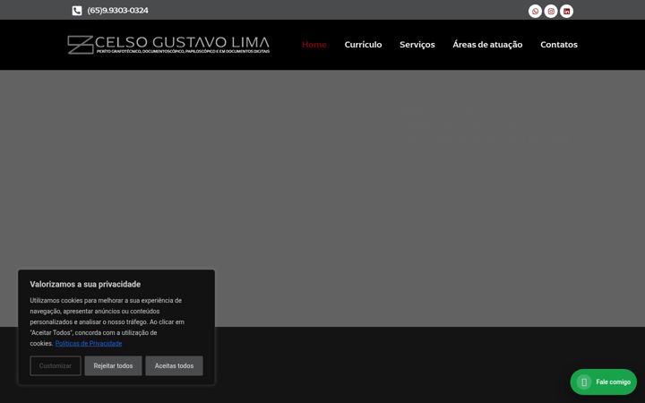 Screenshot ta' celsogustavopericias.com.br
