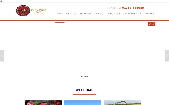 Screenshot von celtic-pride.co.uk