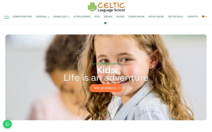 celticlanguageschool.com