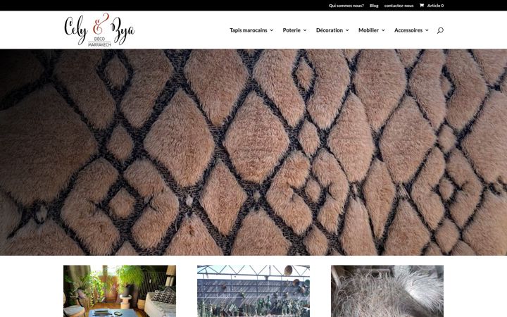 Screenshot of cely-zya.com