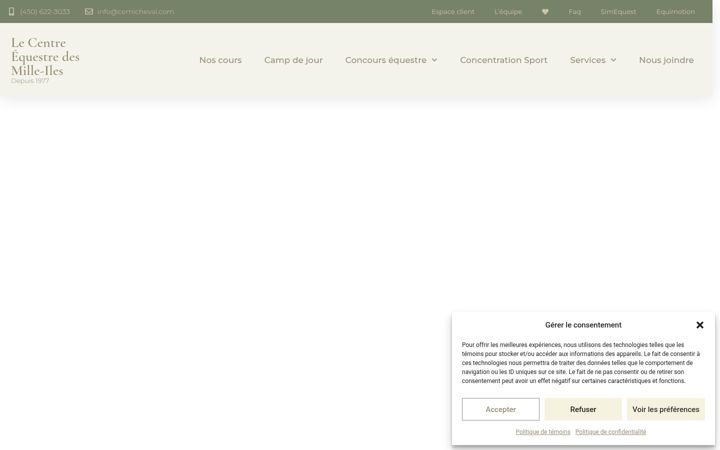 Screenshot of cemicheval.com