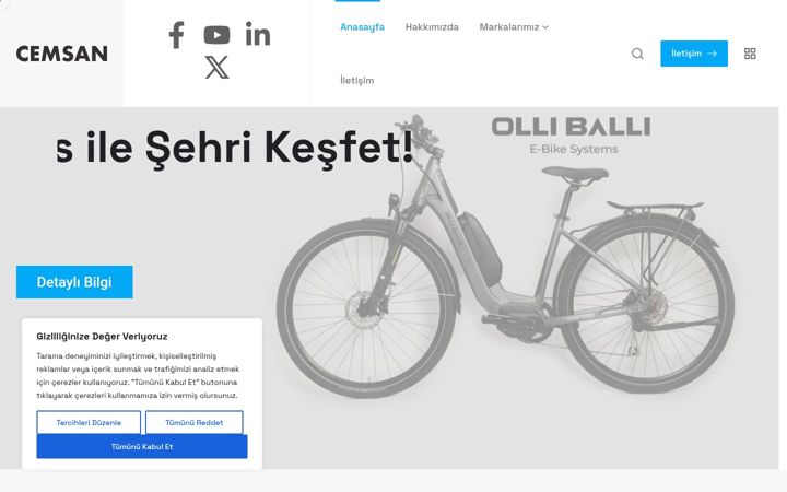 Screenshot of cemsanpazarlama.com