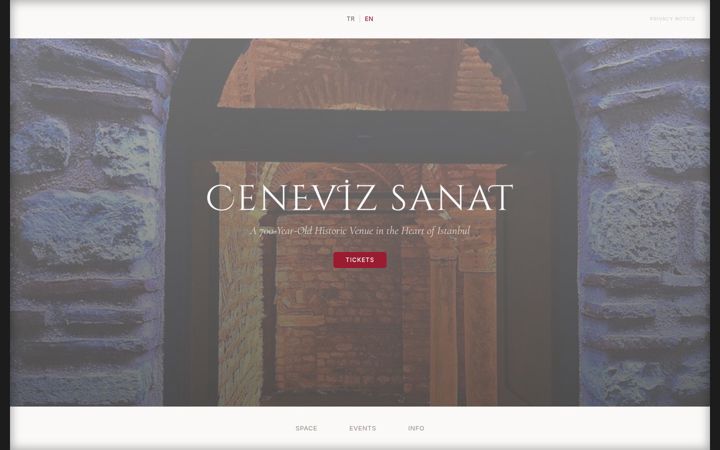Screenshot of cenevizsanat.com