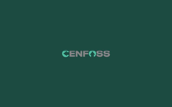 Screenshot of cenfoss.co.mz