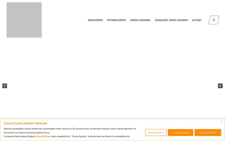 Kuvakaappaus sivustosta cengelkoyaikido.org.tr