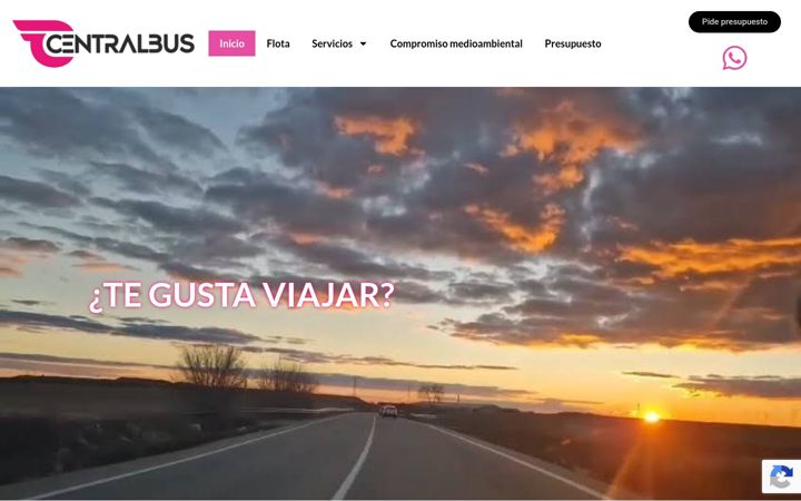 Captură de ecran a centralbus.net