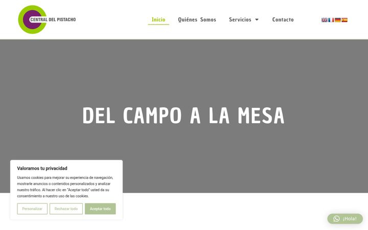 Screenshot of centraldelpistacho.com