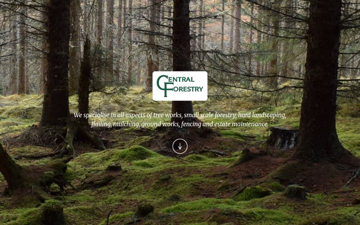 Screenshot stránky centralforestry.co.uk