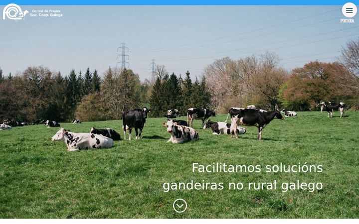 Captura de pantalla de centralfrades.es