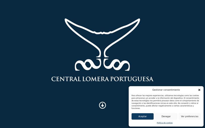 Screenshot of centrallomeraportuguesa.com